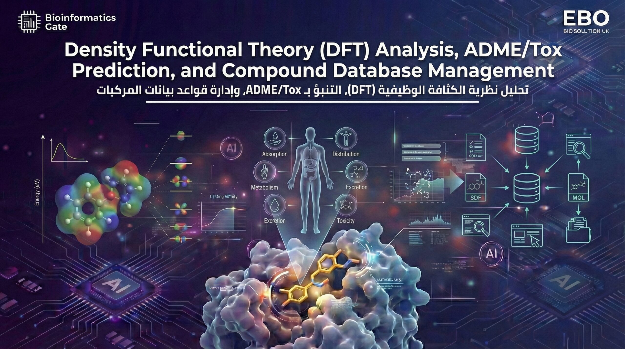 11 – Density Functional Theory (DFT) Analysis, ADME/Tox Prediction, and Compound Database Management
