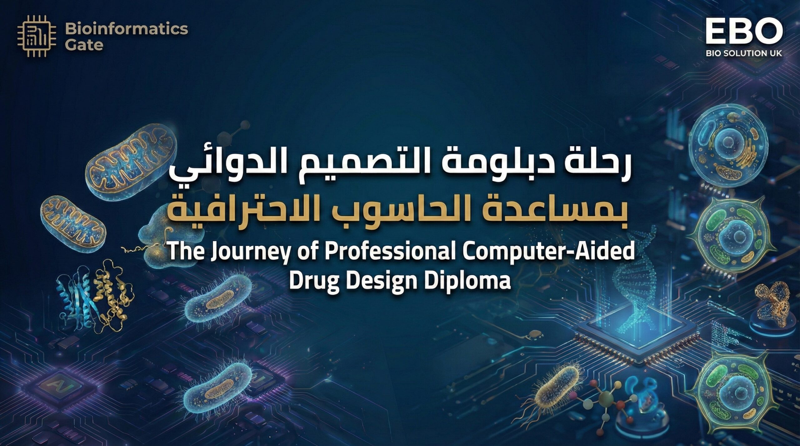 The Journey of Professional Computer-Aided Drug Design Diploma